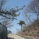 전계심의 묘비 | 전계심묘비 全桂心墓碑 - 춘천부사 김처인 후실