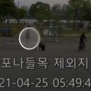 '한강 의대생' 친구 찍힌 CCTV 공개 "누군가 찾다 주저앉아" [종합] 이미지
