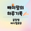 빼미맘의 하루기록 ✍️ 꿀잠템 바디필로우 후기