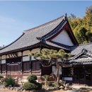 국내 당일치기 여행 군산 동국사 신흥동 일본식가옥 볼거리 이미지