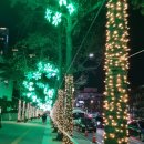 GS25 정동진중앙점 | [삼성여행사]2026년 새해 첫 해돋이 보러 대구에서 정동진 다녀온 후기/강릉중앙시장 맛집방문