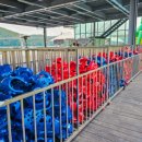 캠프통포레스트 이미지