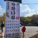 아트밸리자작나무 이미지