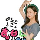 화밤 시청률 6.6%나와 지난주보다 0.2%하락 하였다 이미지