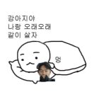 늘안아줄개 | 넌 날 안아주지 말았어야지