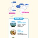 화산홍어 이미지
