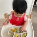 찐스푸드