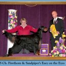 AKC`s Weekly Wins Gallery - March 17, 2010 이미지