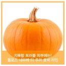 자연피부관리실 이미지