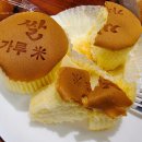 씨유군산이편한점 | [내돈내산] 군산 가루쌀빵 맛집'홍윤베이커리' 방문 후기