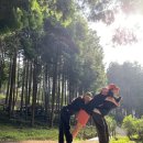 사천케이블카자연휴양림(사천) 이미지