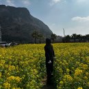 동광로15길 3 | 제주도 3박 4일 - 1,2일차