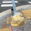 소담향사송 이미지
