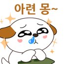 고운동물병원 이미지