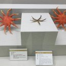 부산해양자연사박물관 이미지