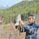 매사냥체험홍보관 이미지