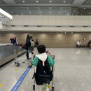 아델라영어학원 | 어이와 필리핀한달살기 어땠을까?내돈내산후기