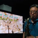 홍이주 카카오 검색결과
