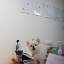 하프잇댕 이미지