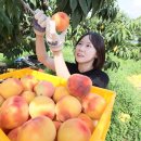 임실군조합공동사업법인 이미지