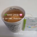 미리안나비