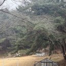 당림미술관 | 아이와 당림미술관 설치미술 후기,