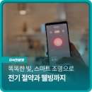 네모조명전기 네이버블로그
