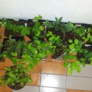 하신농장 이미지