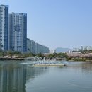 금관대로1368번길 이미지