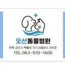 쿨펫동물병원(이마트군산점) 이미지