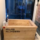 도그비잉 펫케어 이미지