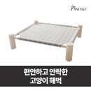 813 이미지