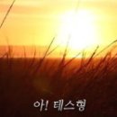 고요 티스토리