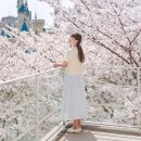 이십삼점오(23.5) 이미지