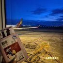 OZ731 인천-호치민 아시아나 항공 비즈니스 좌석 기내식 후기 (새벽 인천공항 혼잡도 / 아시아나 라운지)