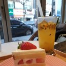 커피폴 - 동두천시 중앙로 279 | 커피폴