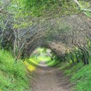 한종목장 이미지