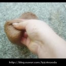 브레드레시피 이미지