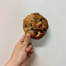 충주쿠키 맛집 &#34;동동양과&#34; 추천(충주디져트/수제쿠키)