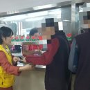 홍삼둥지