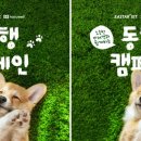 멍# 이미지