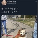 장어의힘 이미지