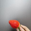 자연농원옥길럭키점