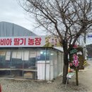 희수농장 이미지