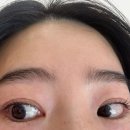 상대동3 | 대전 상대동 속눈썹펌 솔직 후기 마망 아뜰리에