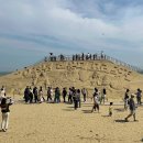 부산 2025 해운대 모래축제 실시간 / 체험, 릴레이 댄스, 노리터, 샌드보드