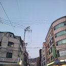 김치품은등갈비