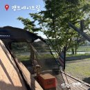 책과 함께 꼼지락 놀이 | 🏕️ C4-1. 대형견 3마리가 있는 힐링 캠핑장 강원도 영월 [캠프에이프릴] 캠핑장 후기