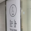 티티247