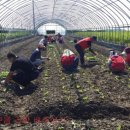 옥구읍사무소 이미지